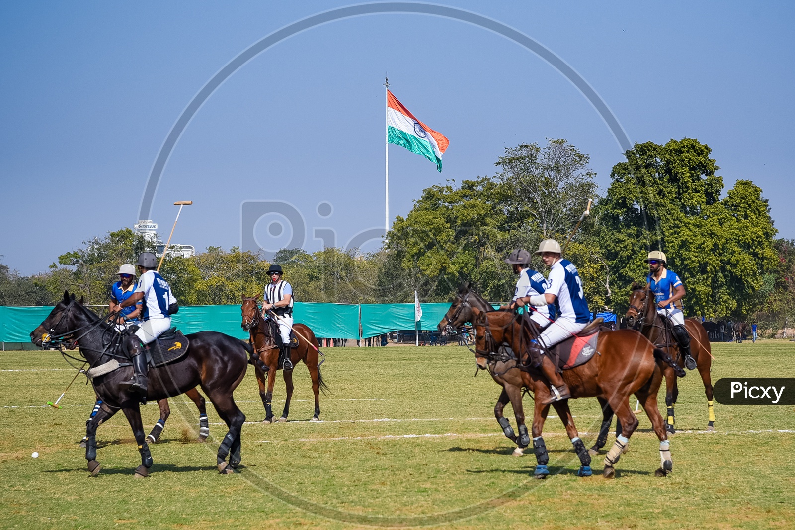 Polo Match in action.