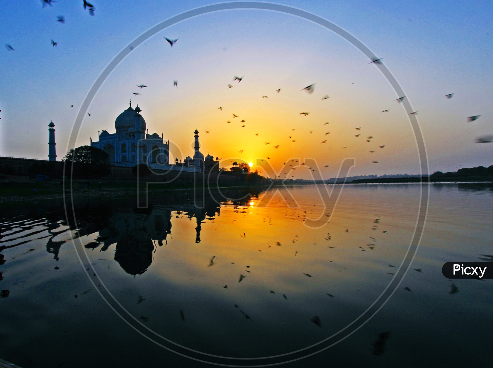 Gone with the Wind - Taj Mahal/7 Wonders
