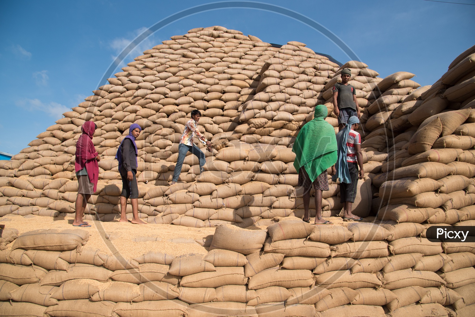 Workers at a Rice Mill in Telangana