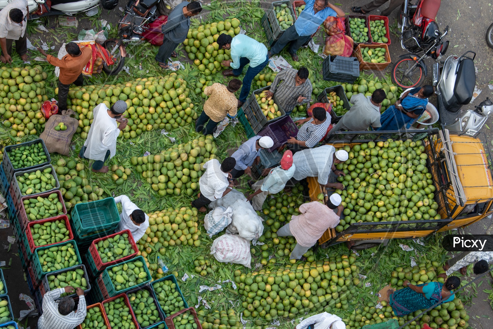 Busy Mango Sellers