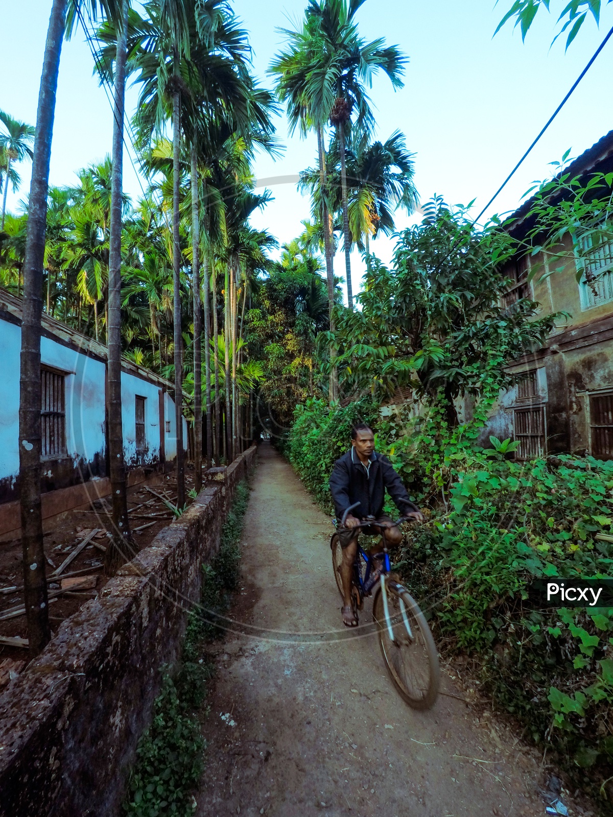A man riding his bicycle at Konkan