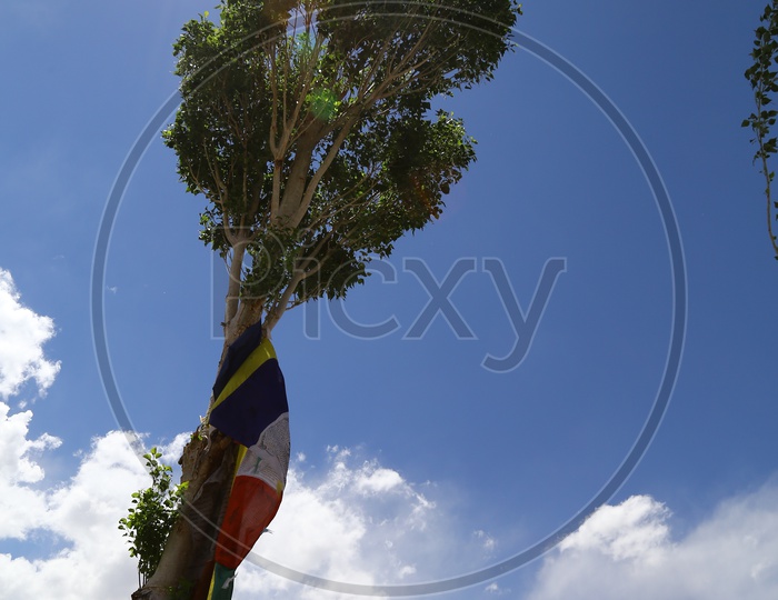 Prayer Flags at Thikse Monastery