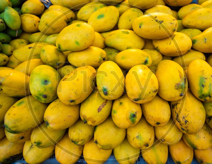 Seasonal Mangoes