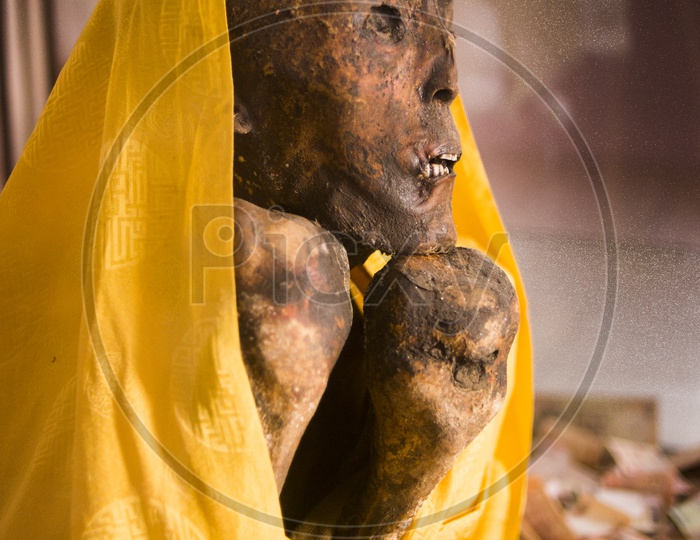 Mummy at Gyu, Spiti Valley