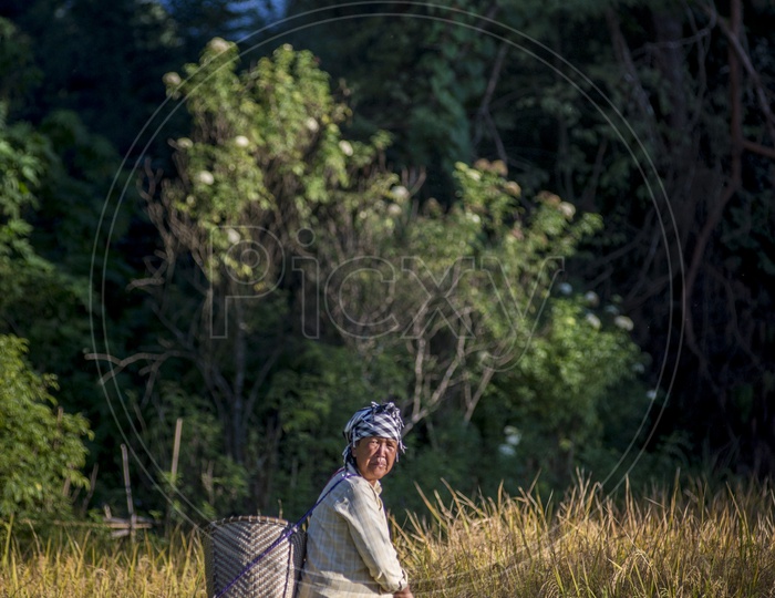 Farmer in Ziro, Arunachal Pradesh