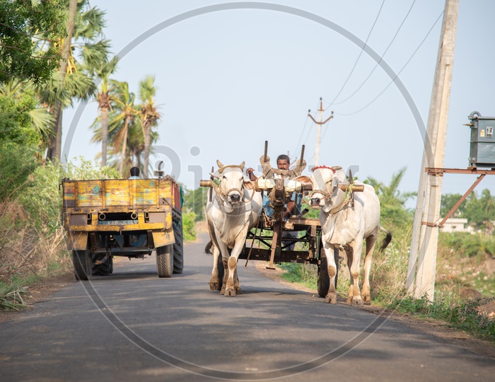 Bullock Cart and a Tractor