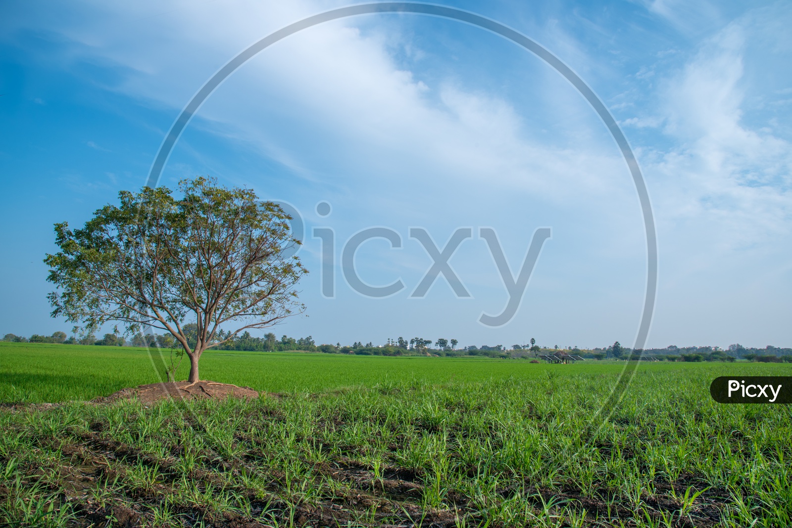 Image of Farms in Gunadala.HR968697Picxy