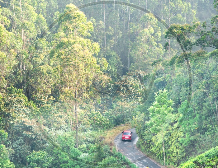 A car cruising through the Tea Plantations of Munnar,Kerala