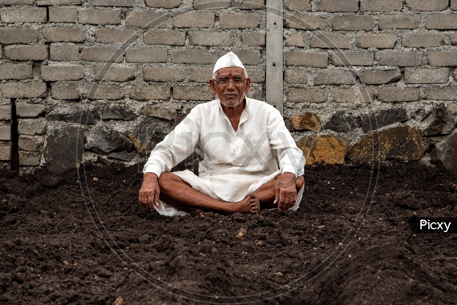 An elderly farmer poses for a photo in in farmland