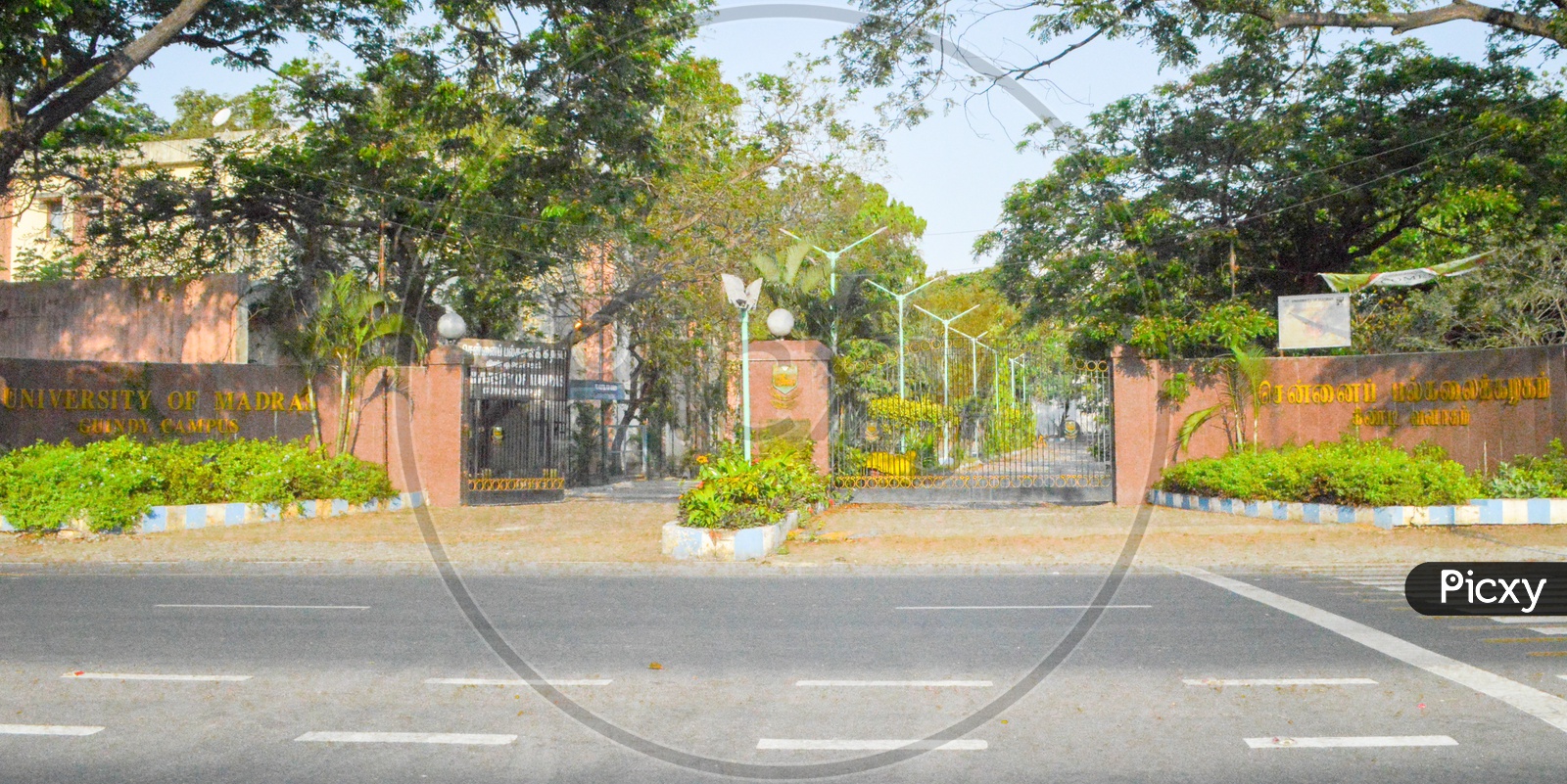University Of Madras, Guindy Campus