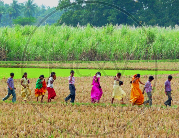 School Kids in Agriculture Field
