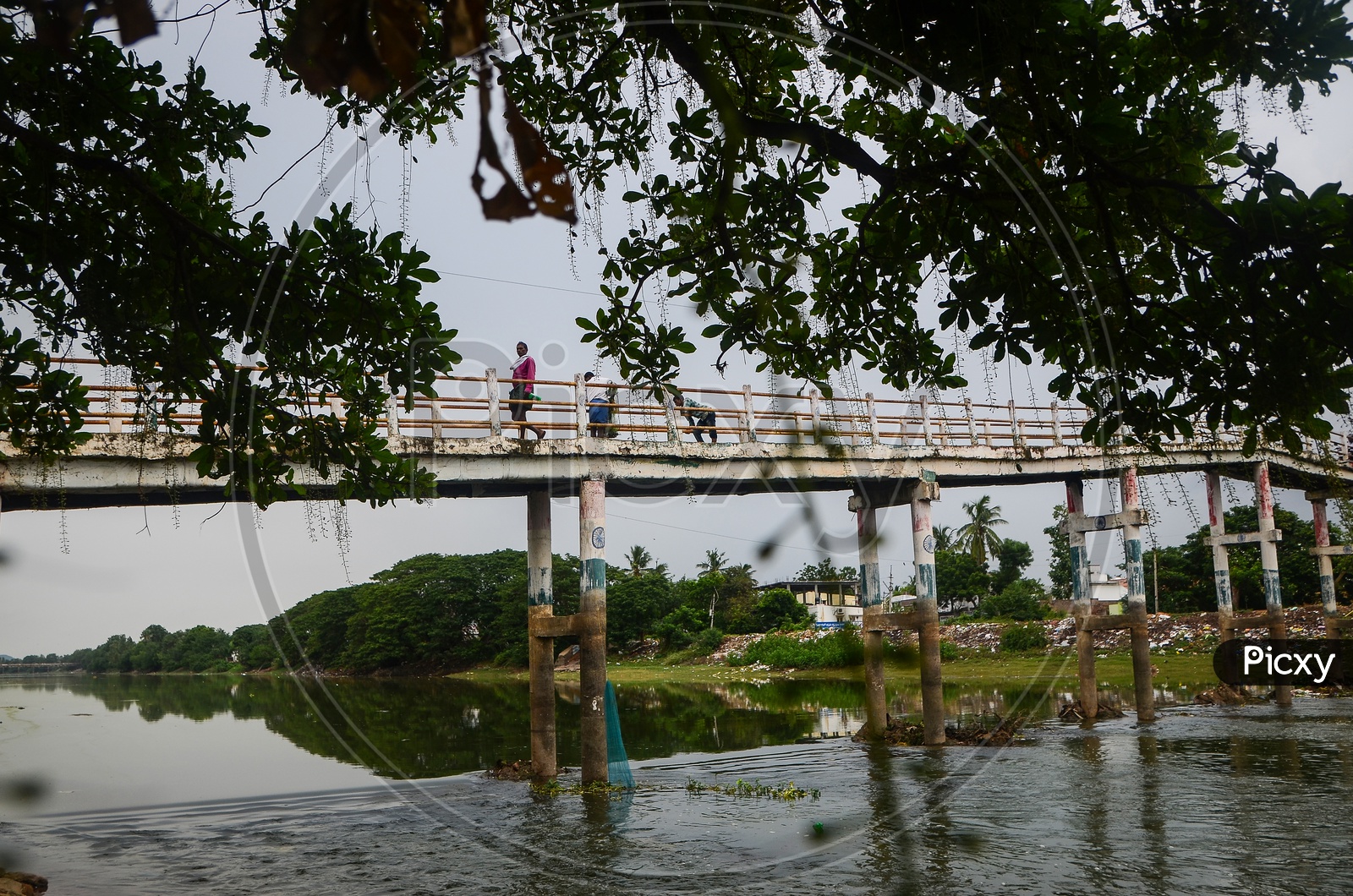 Revendrapadu bridge