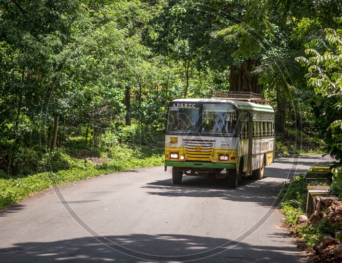 APSRTC buses in paderu ghat