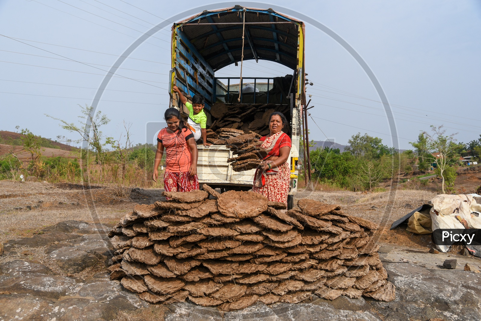Woman sorting and loading dung cakes into truck.