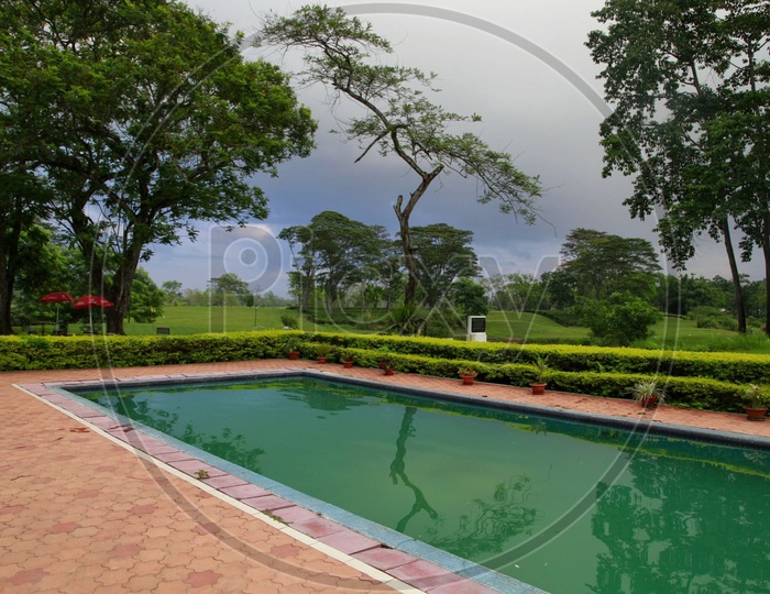 Resort near Kaziranga, Assam