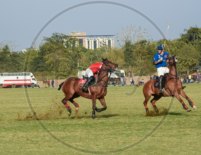 Horses in action at Polo Match