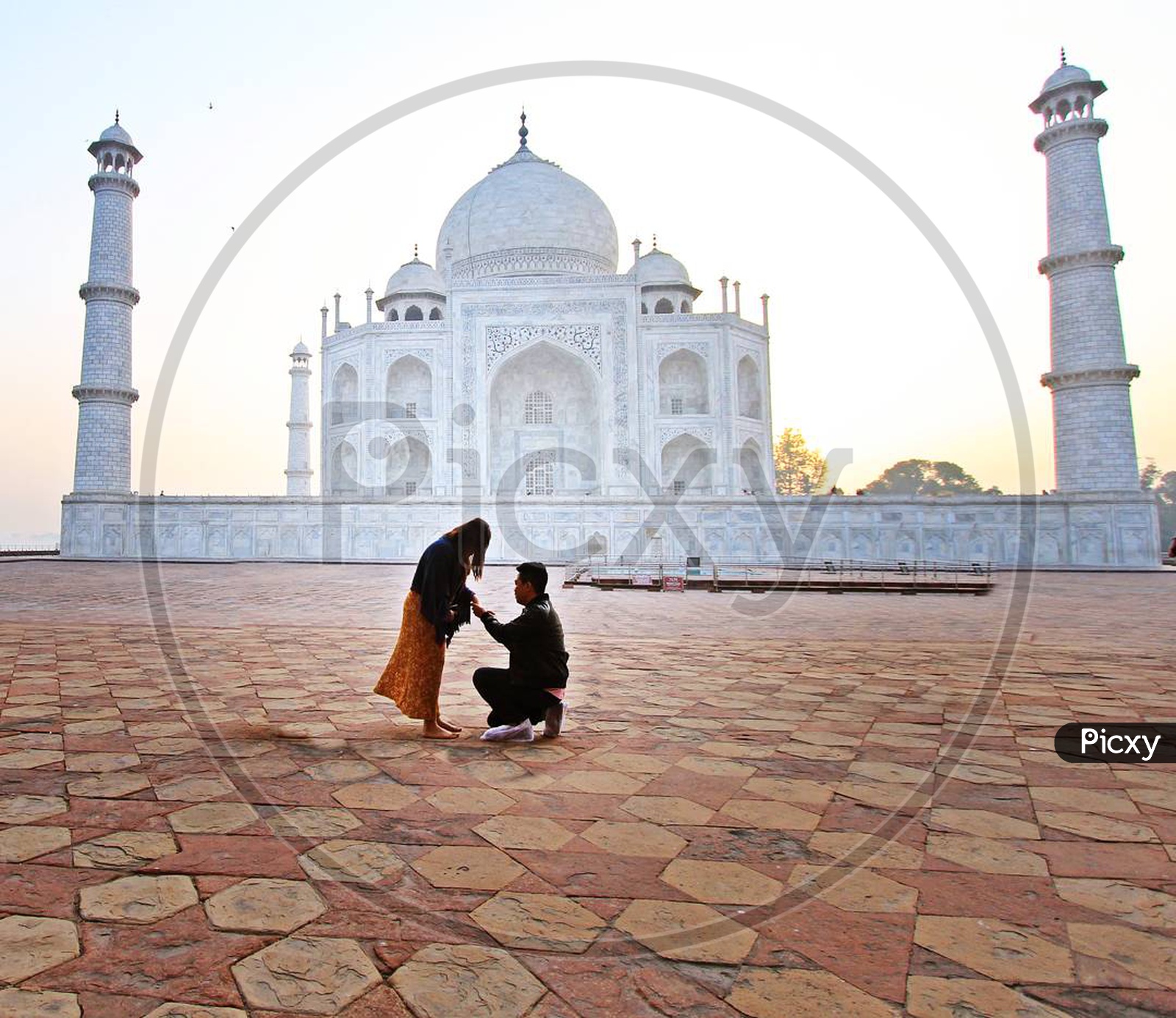 The Proposal - Taj Mahal/7 Wonders
