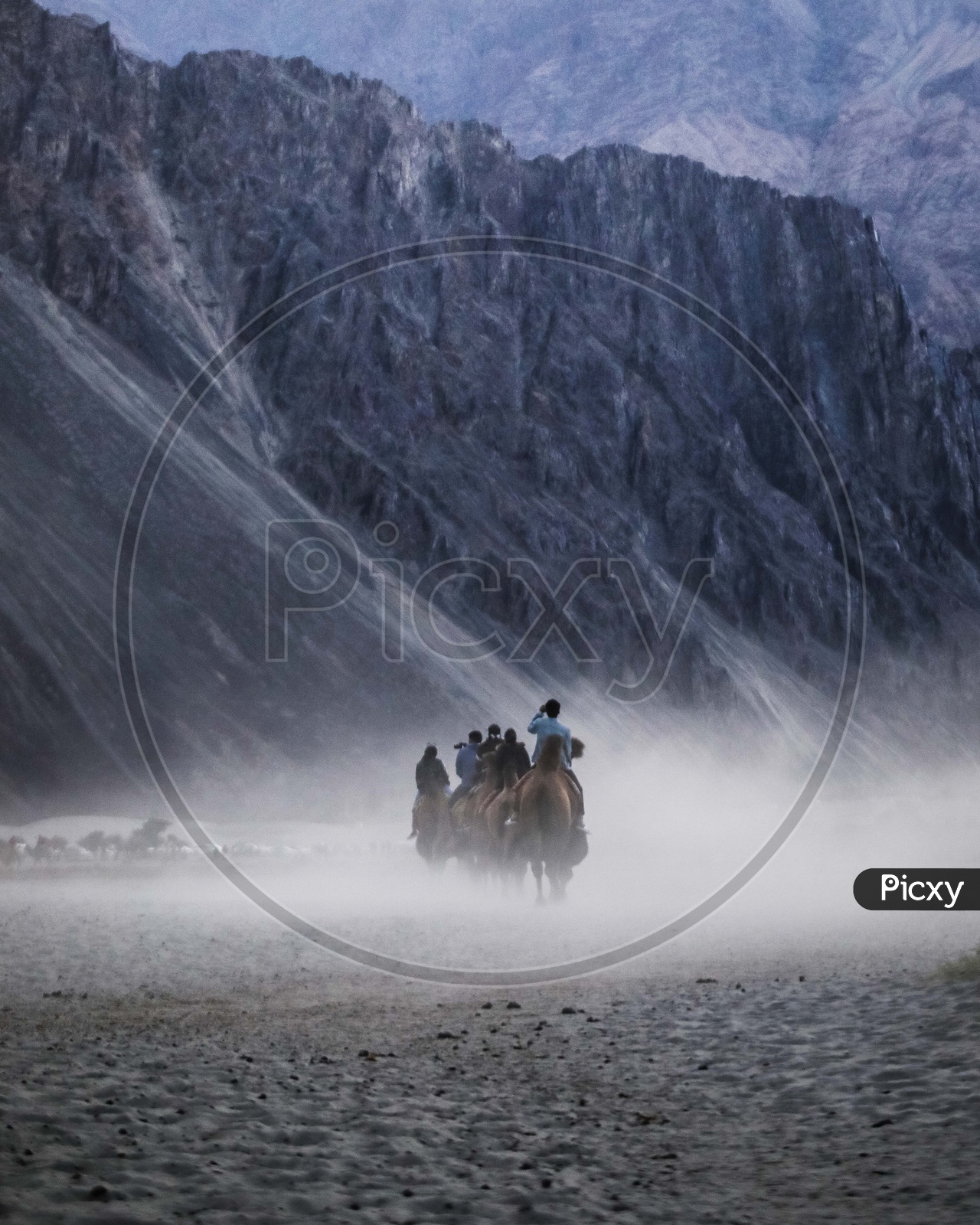 Tourists at Nubra Valley riding on Arabian Camels crossing Sand Dunes.