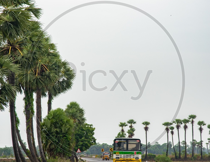 APSRTC bus on Andhra Pradesh State Highways near Repalle.