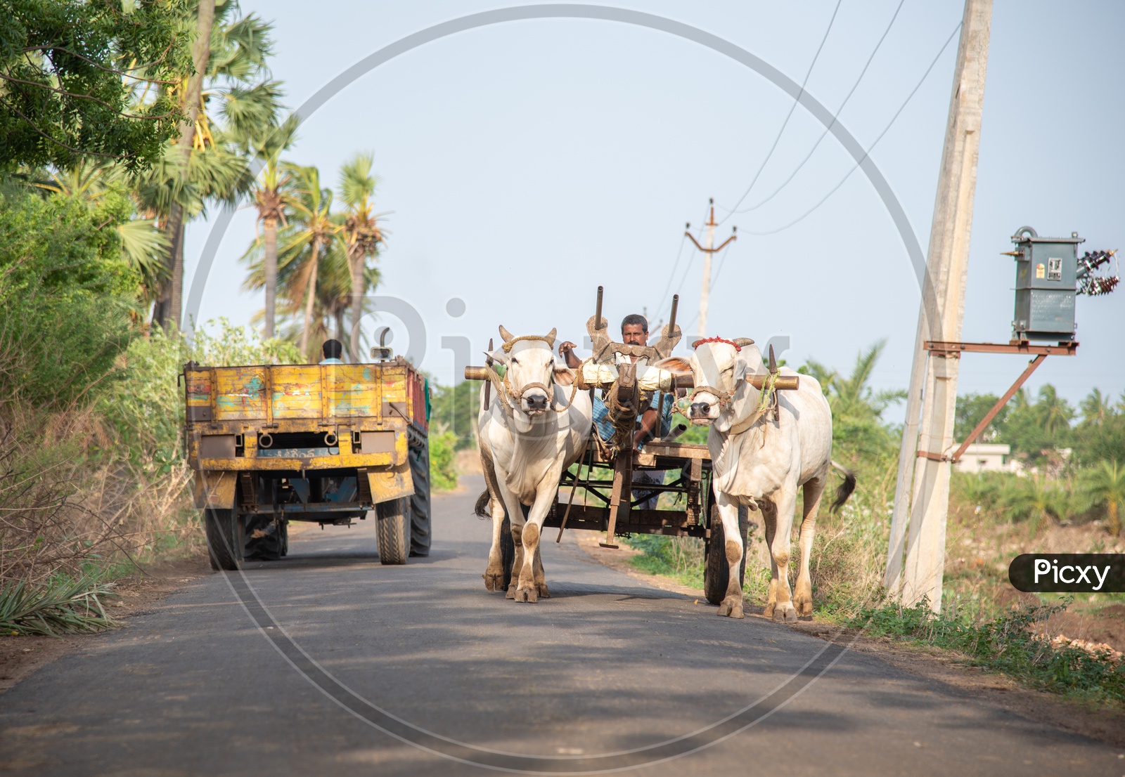 Bullock Cart and a Tractor