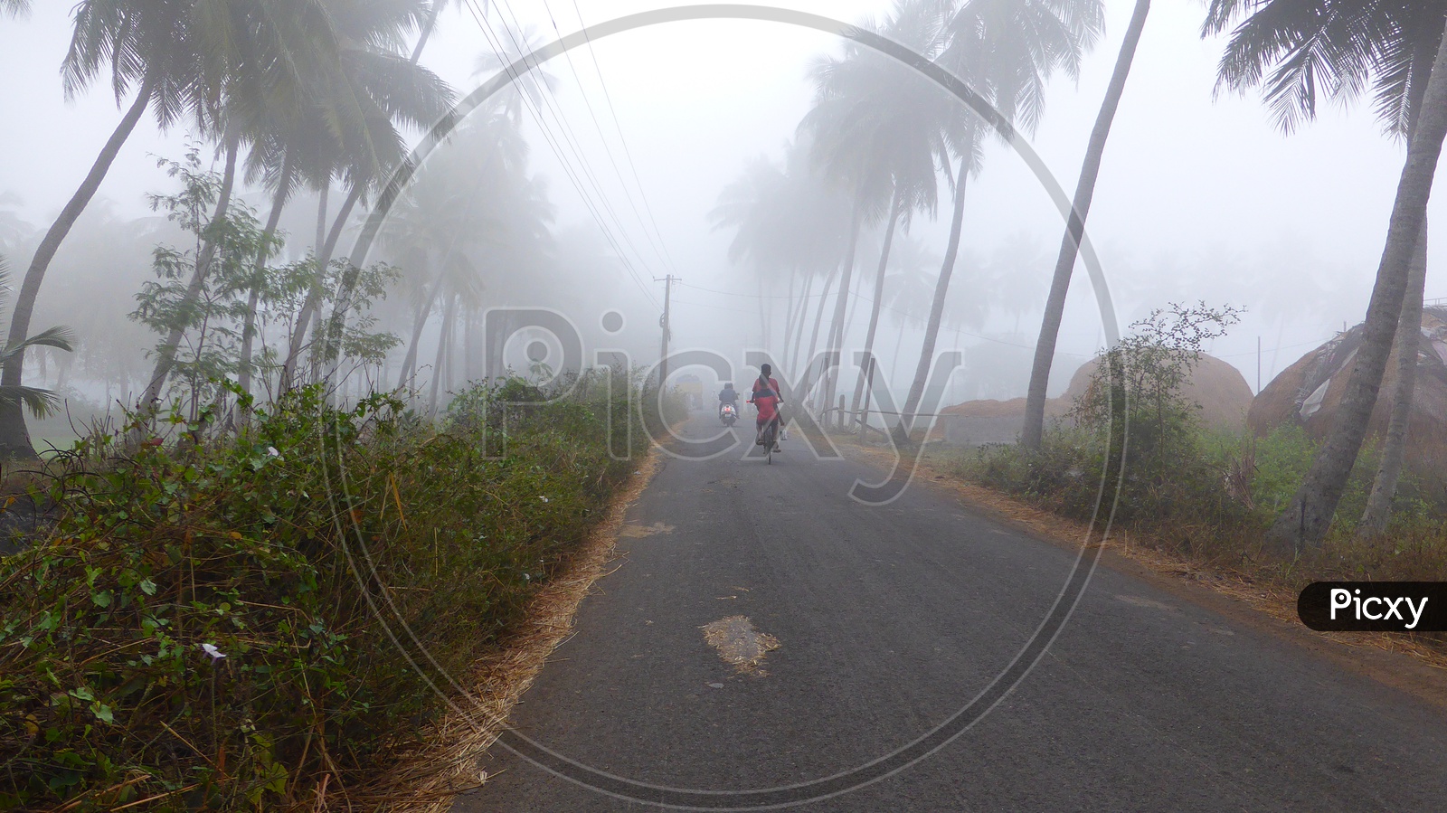 Fog Covered Roads