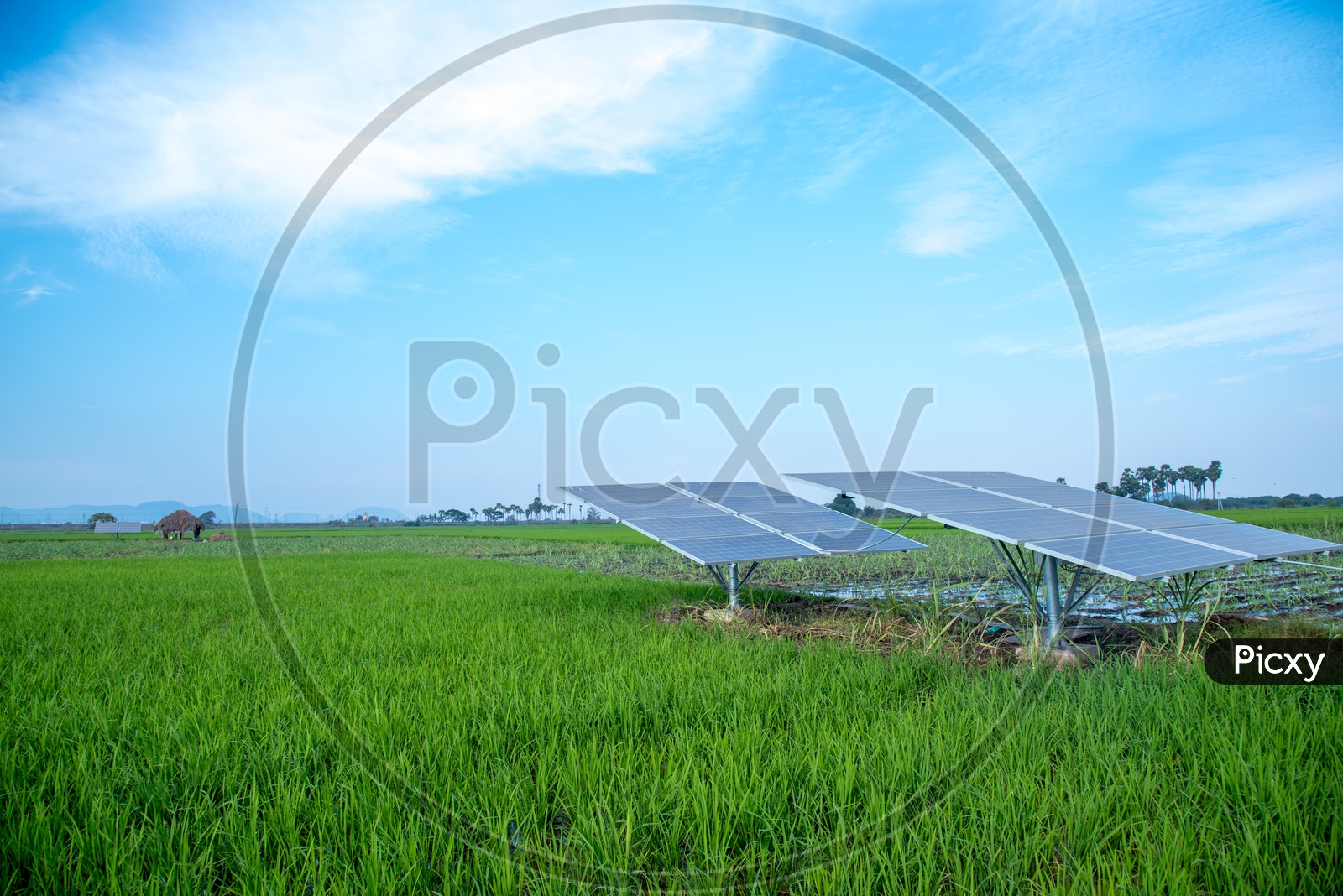 Solar panels given by Govt of Andhra Pradesh to Farmers
