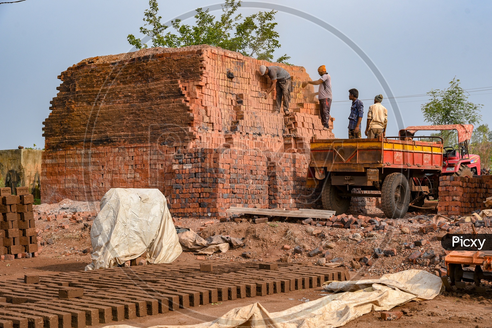 Workers loading Bricks to tractor