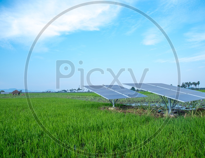 Solar panels given by Govt of Andhra Pradesh to Farmers