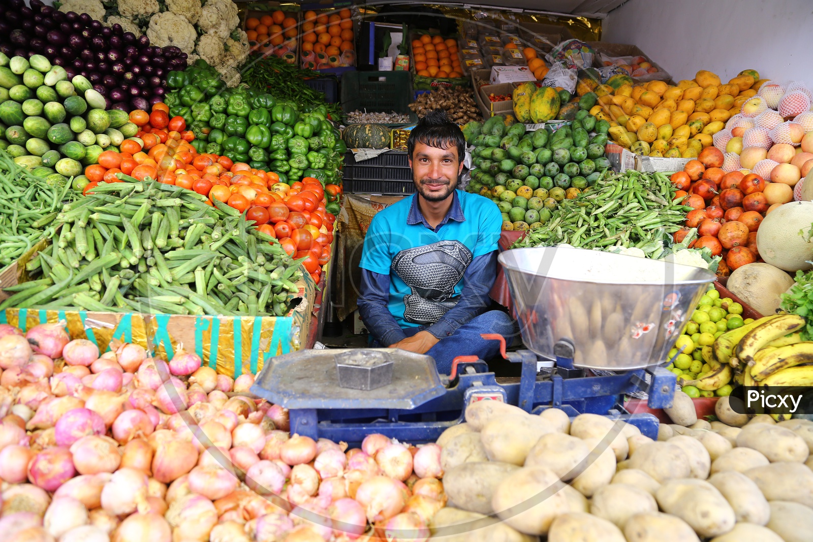 Vegetable/Fruit  Vendor