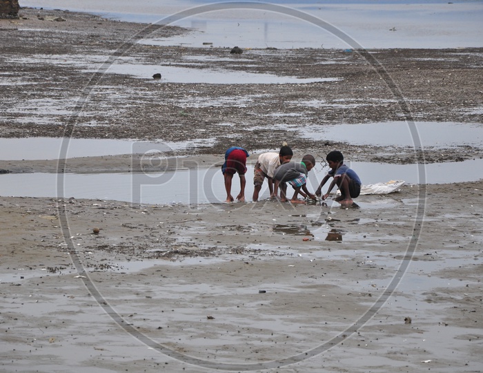 Kids Picking Fishes from water