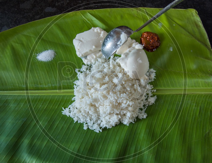 Curd being put on a Banana leaf(indian traditional plate)