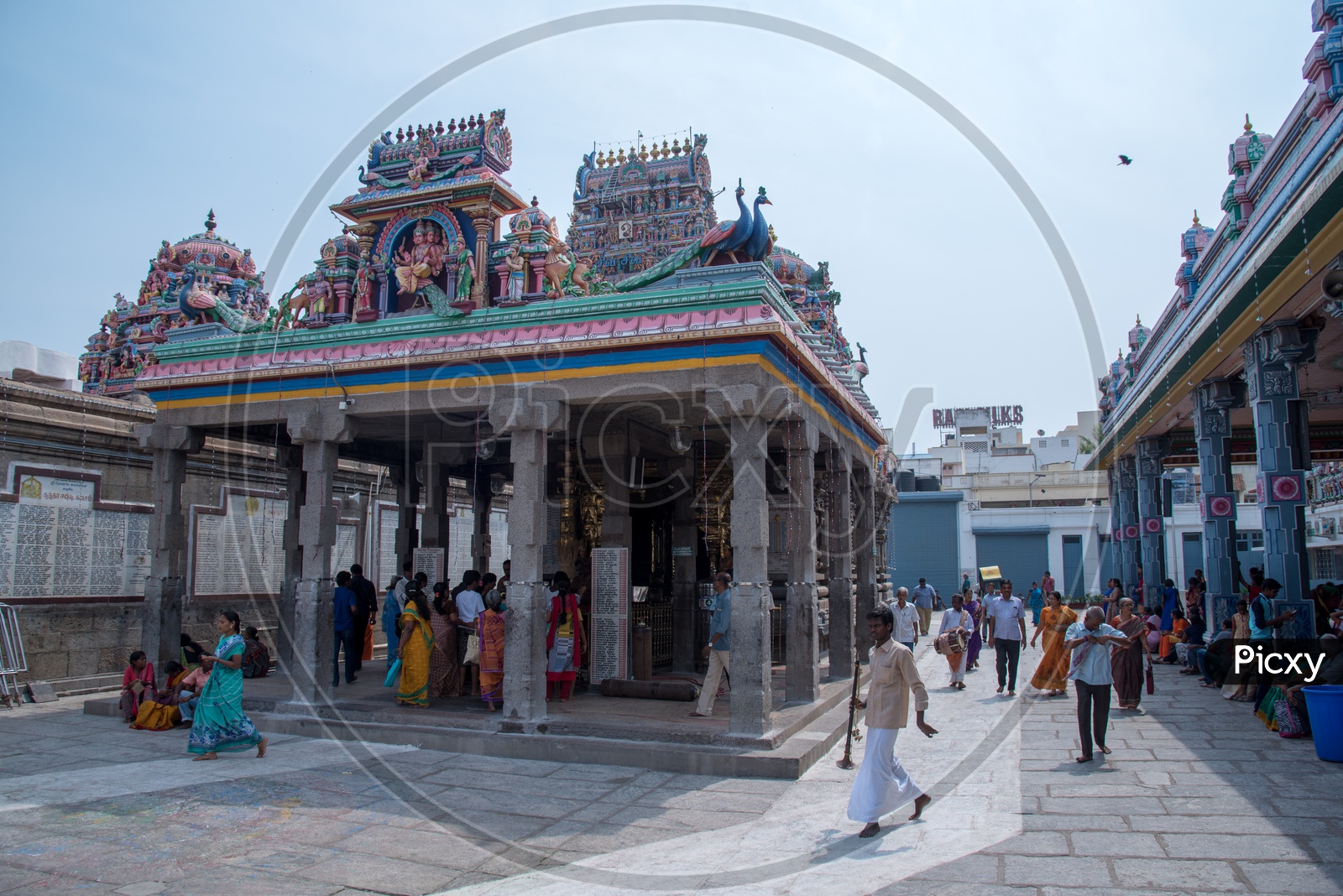 Kapaleeswar temple,chennai