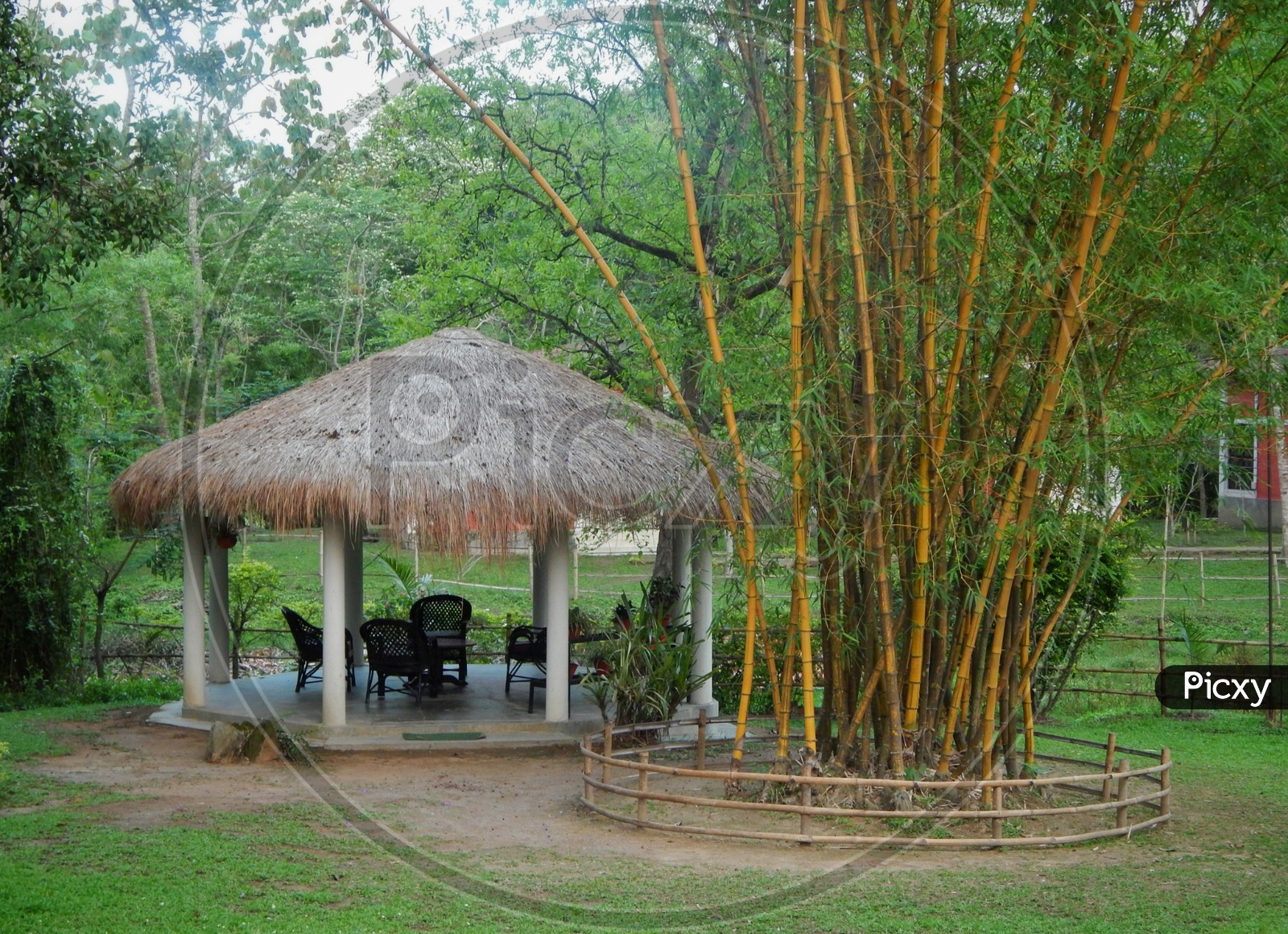 Resort in Kaziranga, Assam.