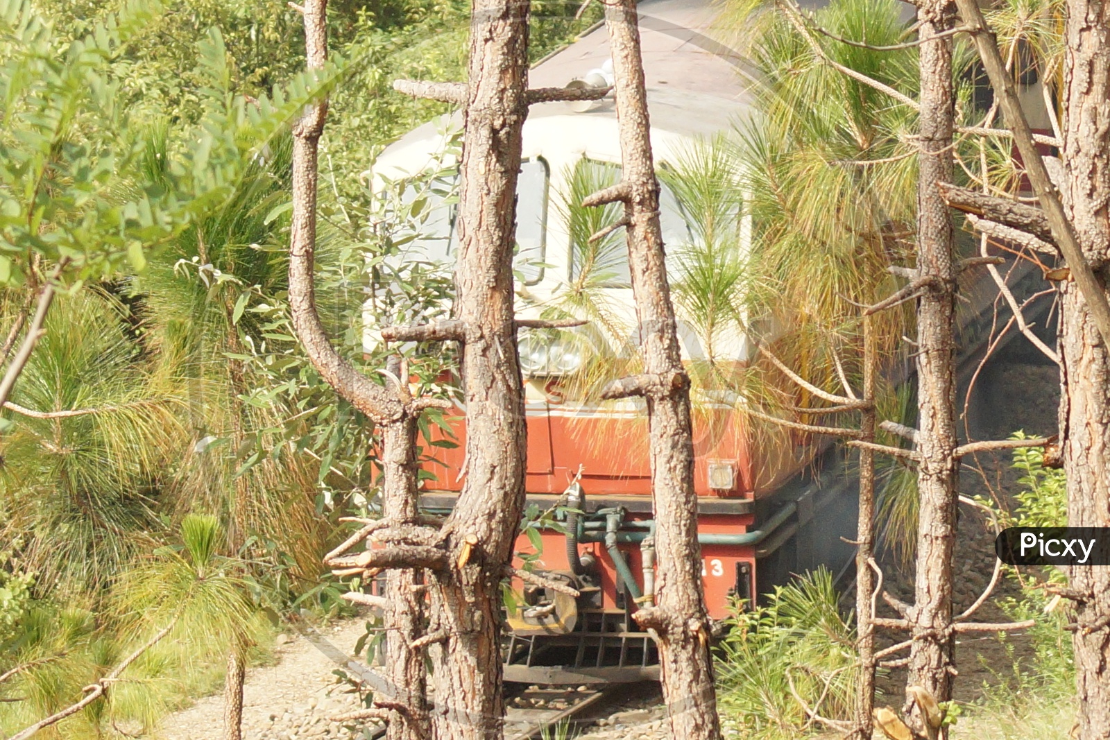 Shimla Kalka Toy train