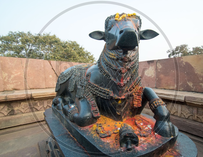 Nandi Bull at Ramappa Temple