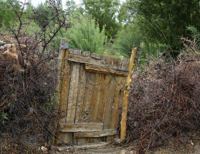Wooden Door/Gates of Nubra Valley