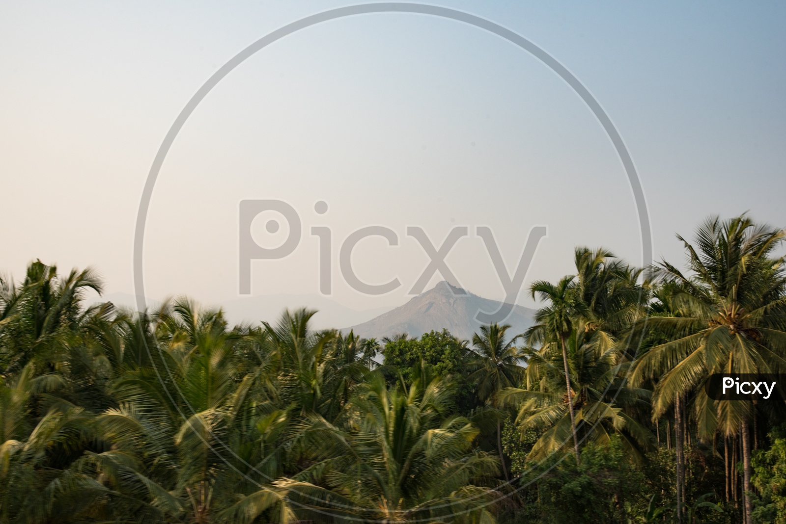 A hill in Western Ghats of Kerala