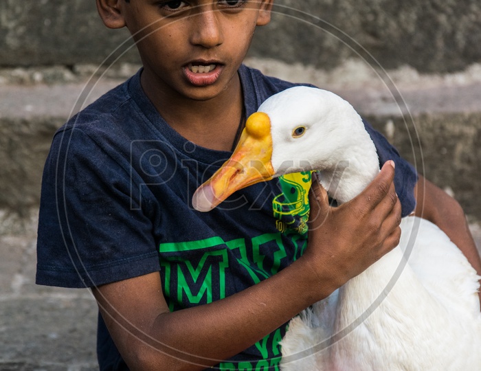 Kid playing with a goose.