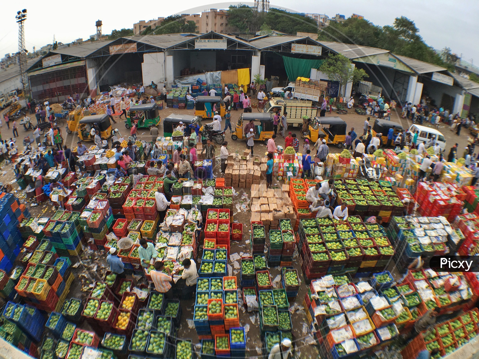 Fruit Market/Mango Market/Farmer's Market/Raithu Bazar
