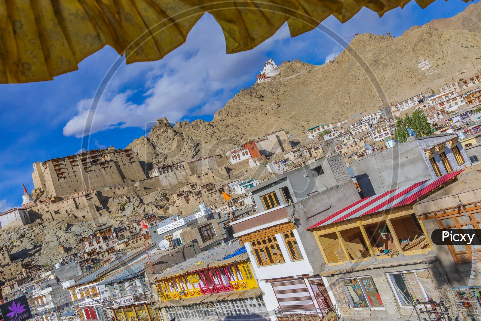 Monasteries and Houses in leh Ladakh region