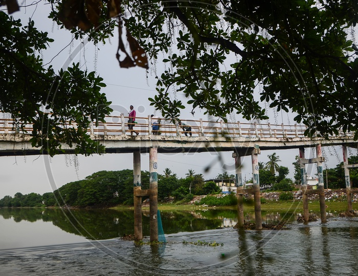 Revendrapadu bridge