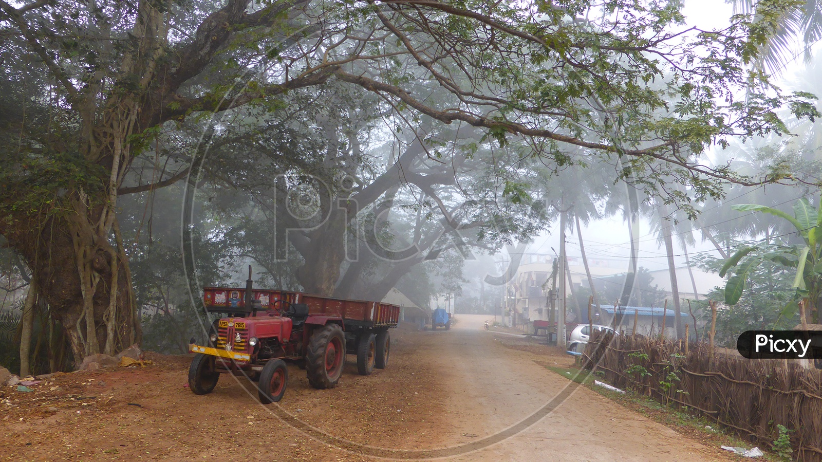 Tractor parked near Tree