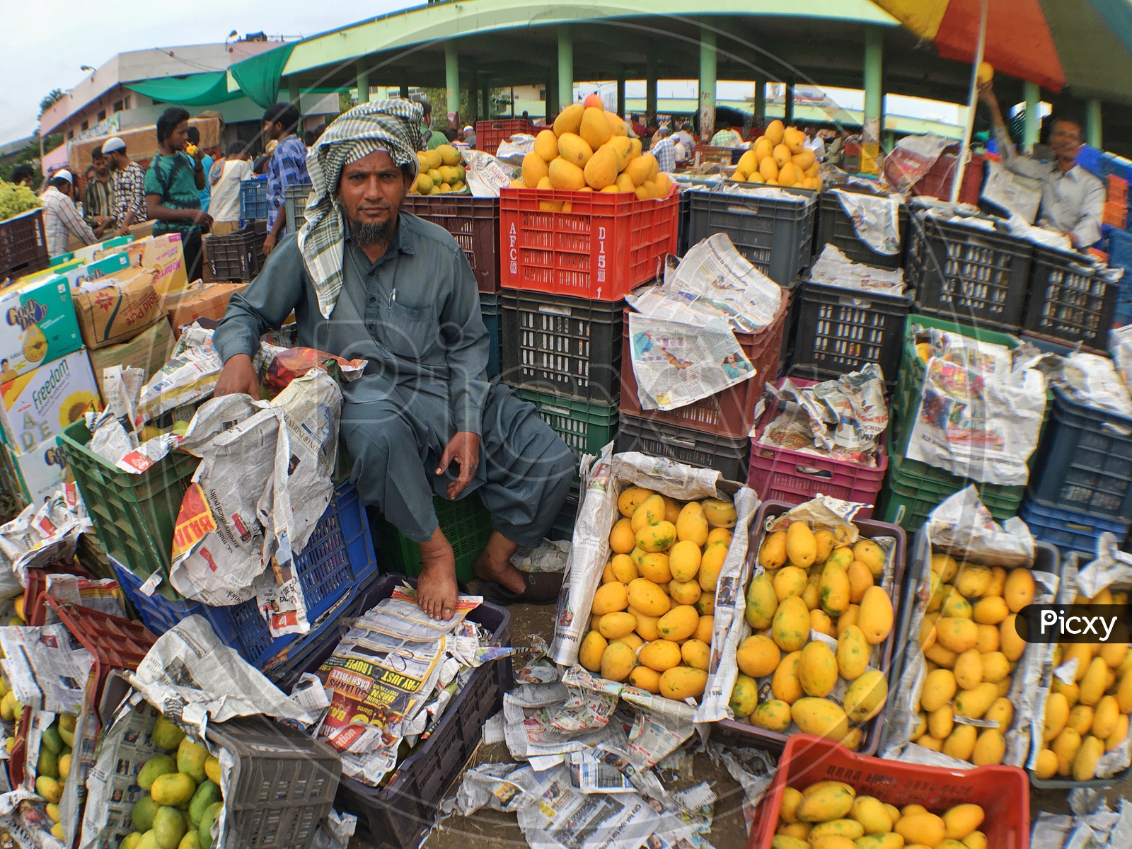 Fruit Seller/Mango Seller/Rythu Bazar/Raithu Bazar