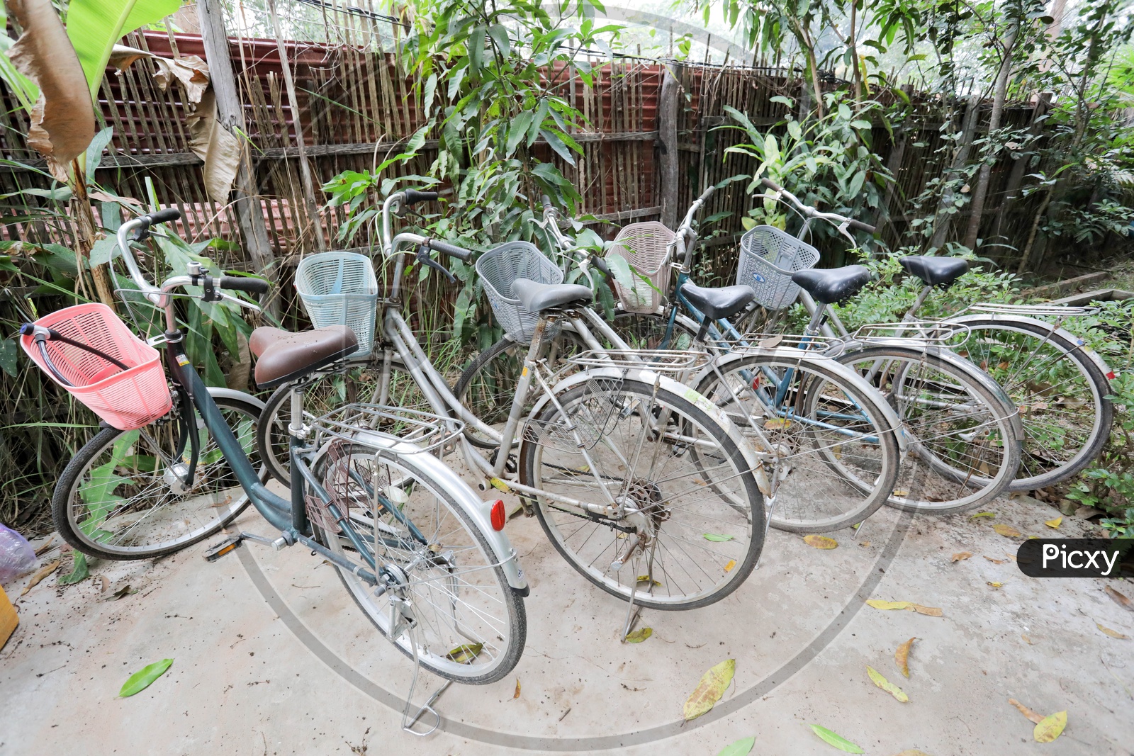 Cycles, Siem Reap