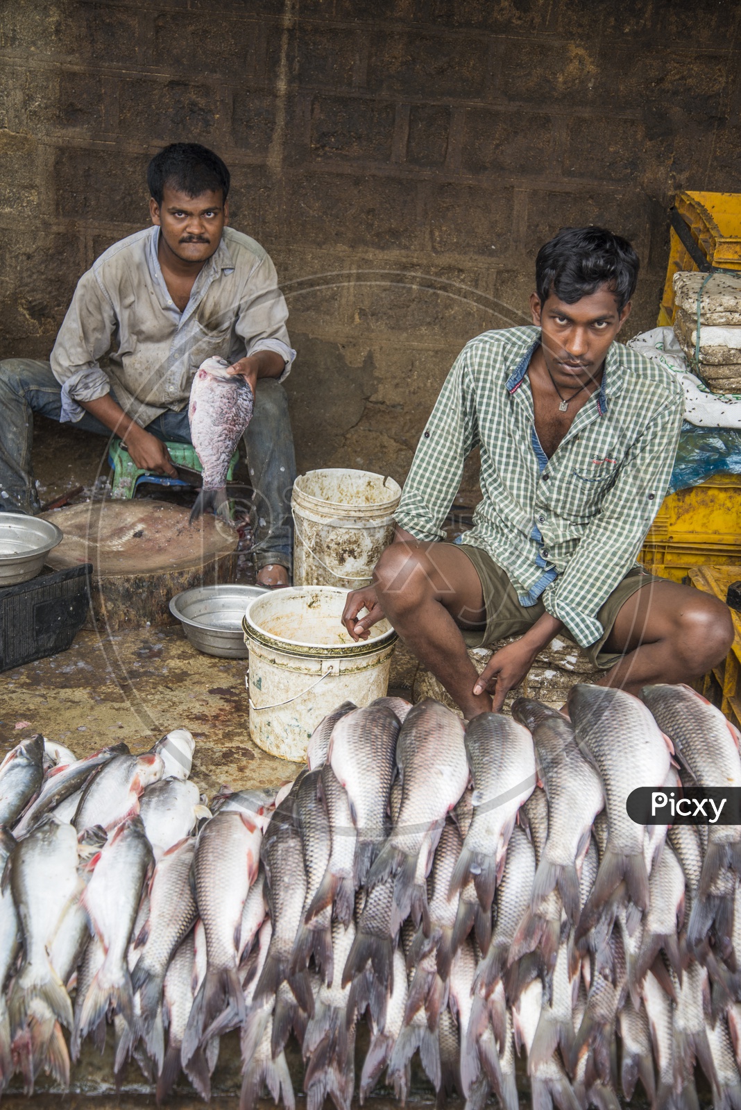 Fish Vendors