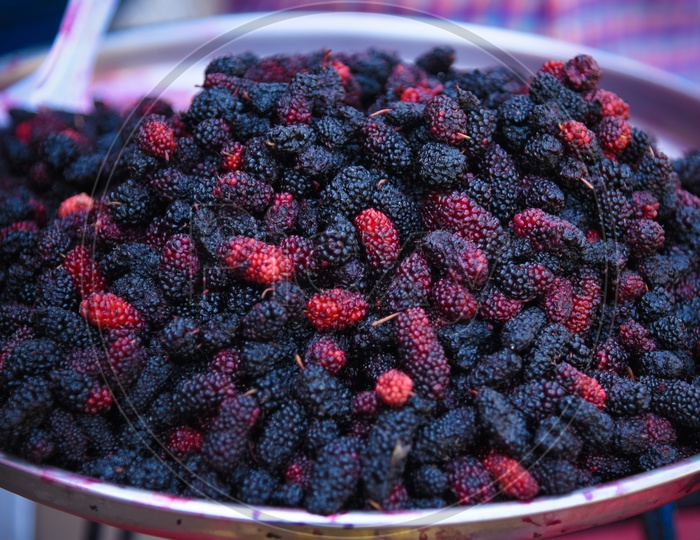 Mulberry Fruit