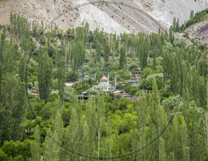 Srinagar to Kargil
