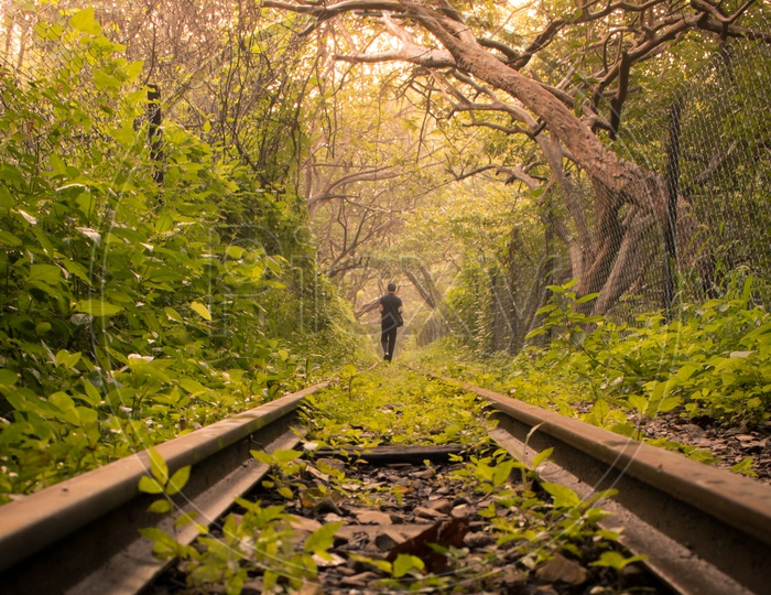walking on abandoned rail track