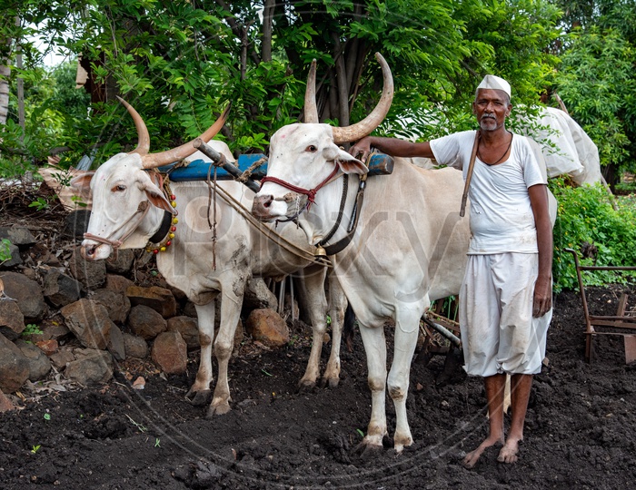 Farmer in Maharashtra around Pune.