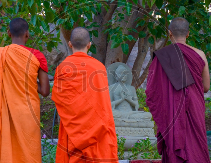 Offering prayers to Buddha